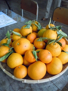 DSCN2724.jpg