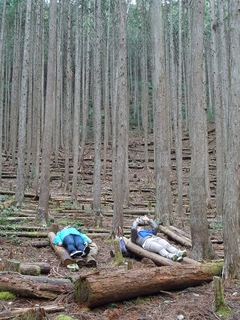 DSCN5604.jpg